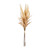 Cream Foxtail Bundle, 28"