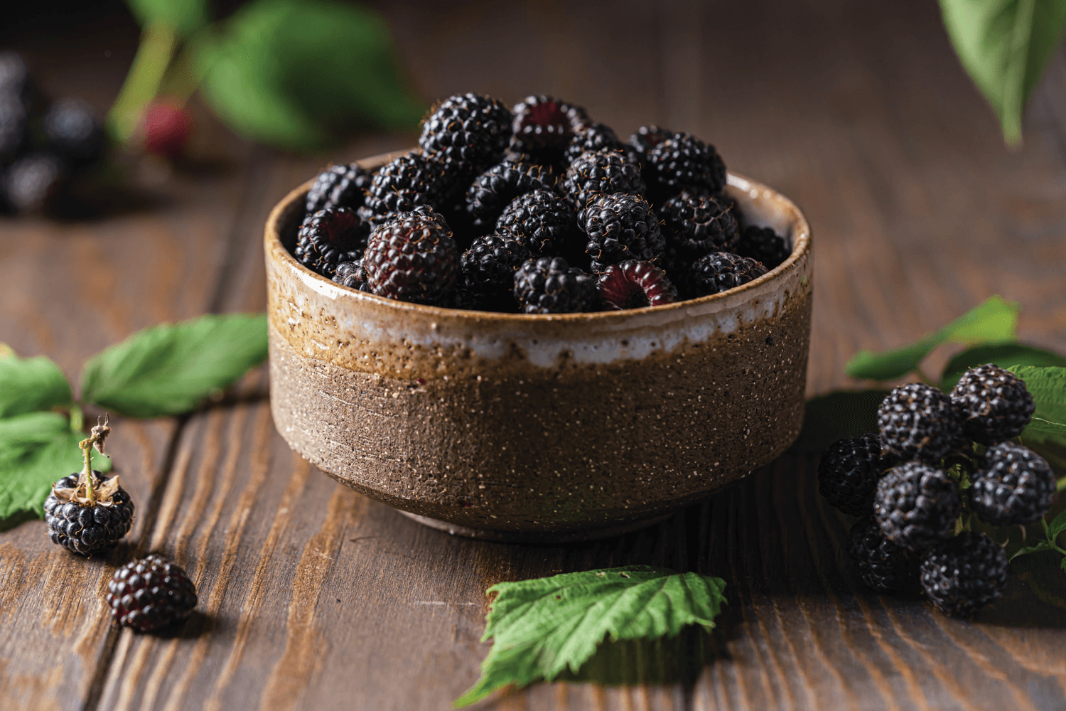 Crossroads Candles: Black Raspberry Harvest Fragrance Collection