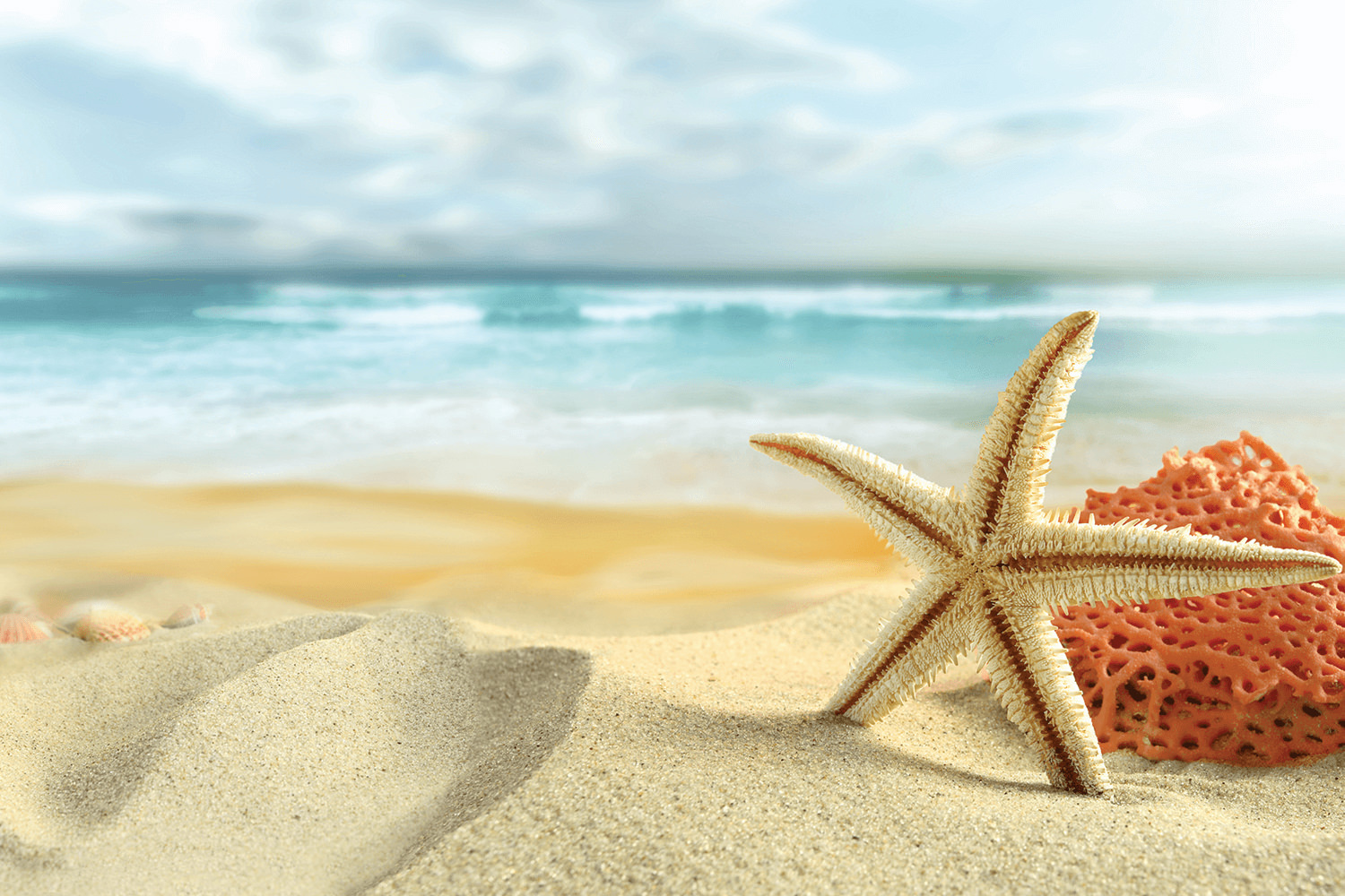 Browse our "Seaside Escape" Fragrance Collection