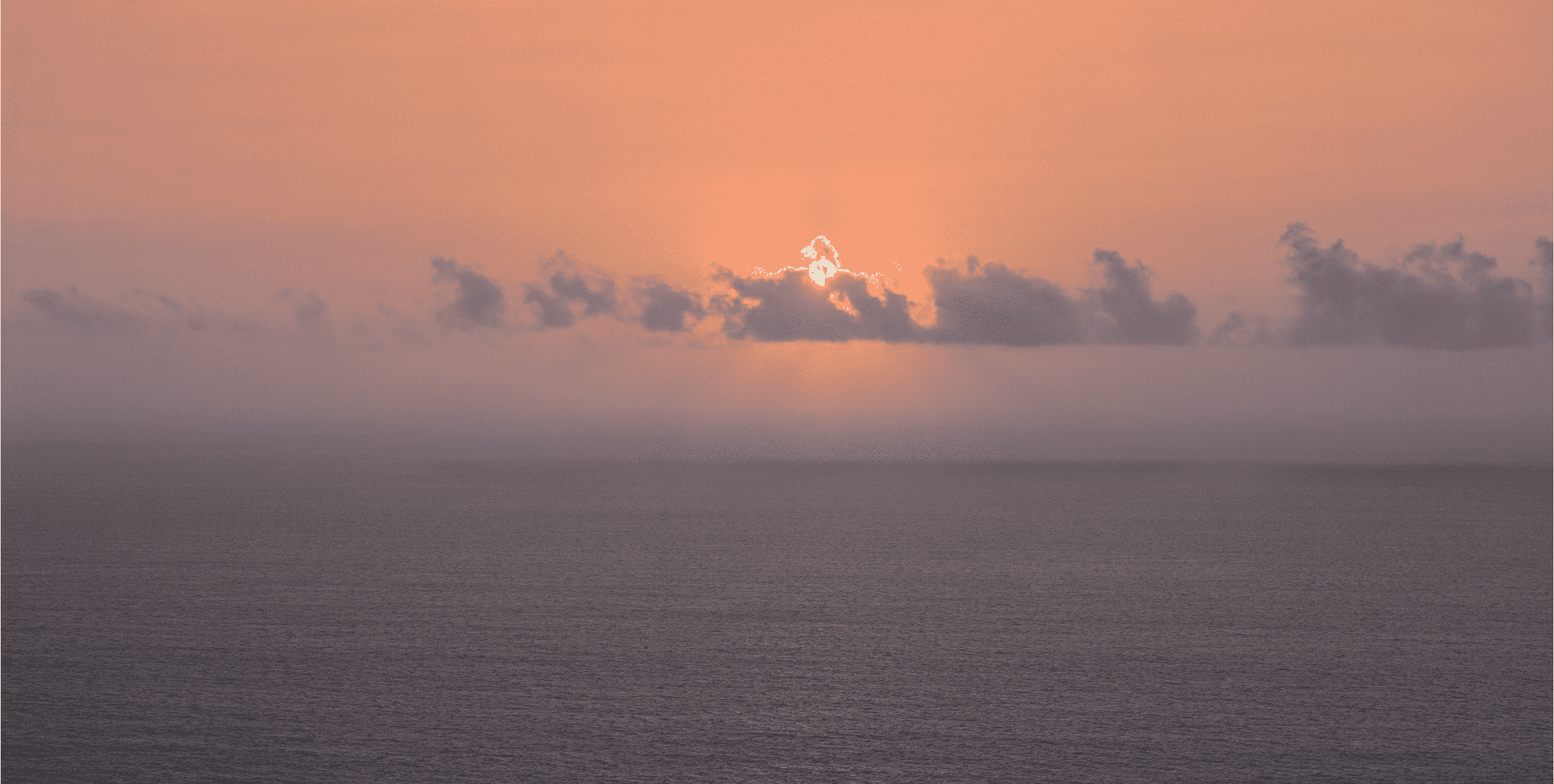 Close-up of Egyptian Cotton Fabric from Our T002 Women's Shell