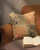 CUSHION COVERS