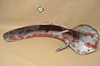 Vintage Used OEM Honda CA160 CA95 Front Fender Splash Mud Guard 61100-200-000 Z