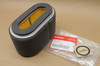NOS Honda GXV340 GXV390 Engine Air Filter Cleaner Element 17210-Z1E-801