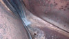 Vintage OEM Honda CA77 White Fuel Gas Tank 17500-266-010