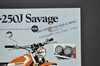 Vintage NOS 1973 Suzuki TS250 J Savage TM250 J Champion Brochure Dealer Specs