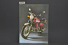 VTG NOS 1972 Suzuki GT750 Water Buffalo Motorcycle Brochure Dealer OEM Poster