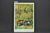 Vintage 1960s Suzuki K11 Challenger M12 Cavalier Brochure Dealer Specs Poster