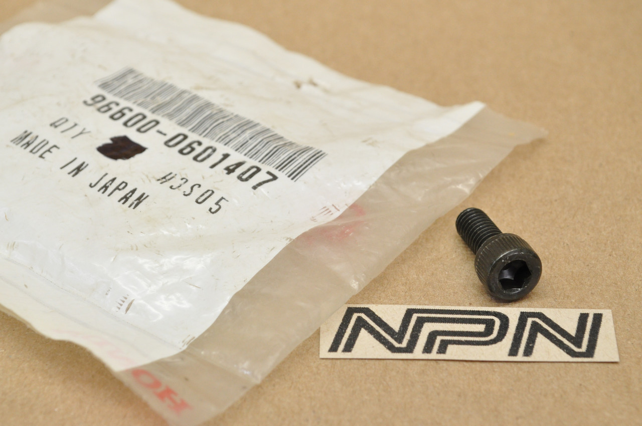 NOS Honda CBR600 F CBR900 RR Mirror Mount Socket Bolt 6x14 96600-06014-07
