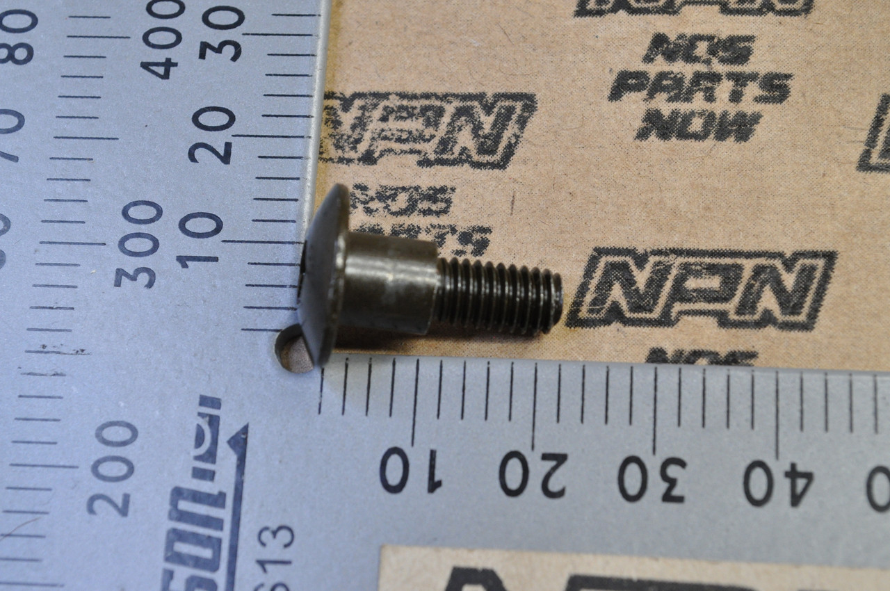 NEW OEM Honda CBR600 RR MUV700 TRX250 TRX350 TRX400 TRX420 Screw 90102-HN5-670