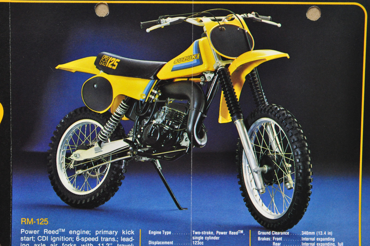 Vintage 1979 Suzuki RM100 RM125 Motocross Brochure Motorcycle Dealer Specs OEM