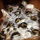 Hundreds of New Old Stock NOS Honda Motorcycle Gas Tank Emblems