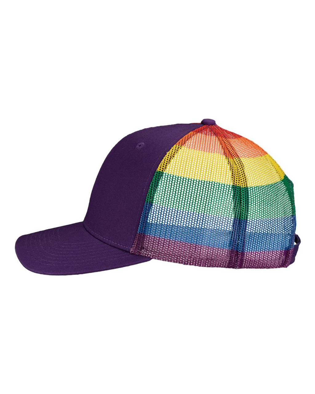 Purple/ Rainbow