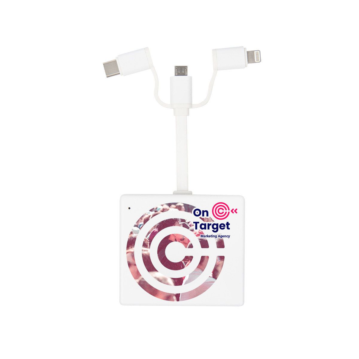 Custom FlaminGo 3-In-1 Pre-Charged Charger 25036