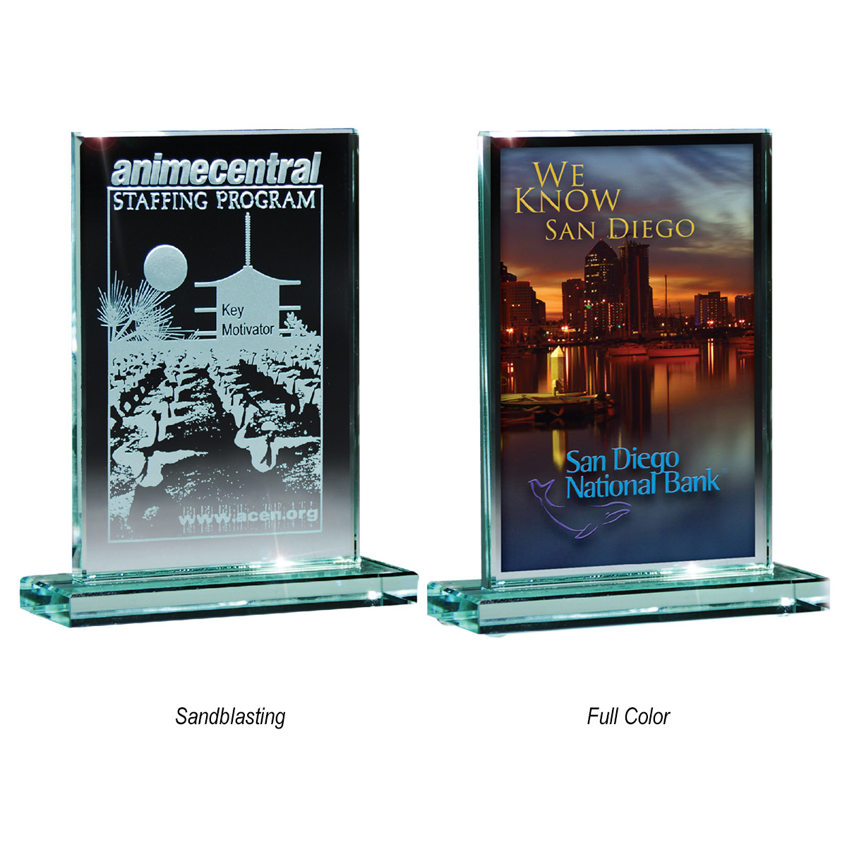 Custom Medium Glass Award 10009