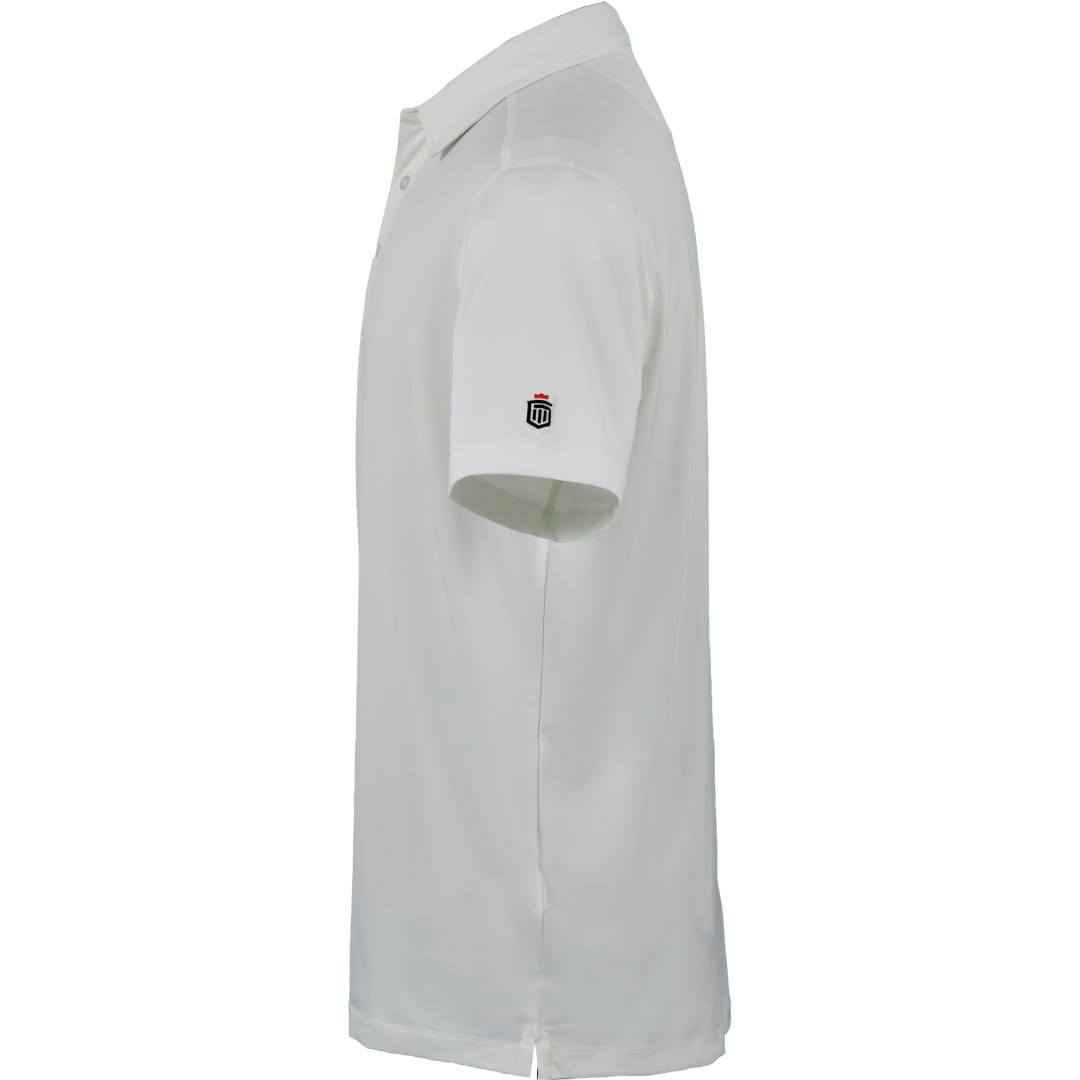 Ash Gray (954)