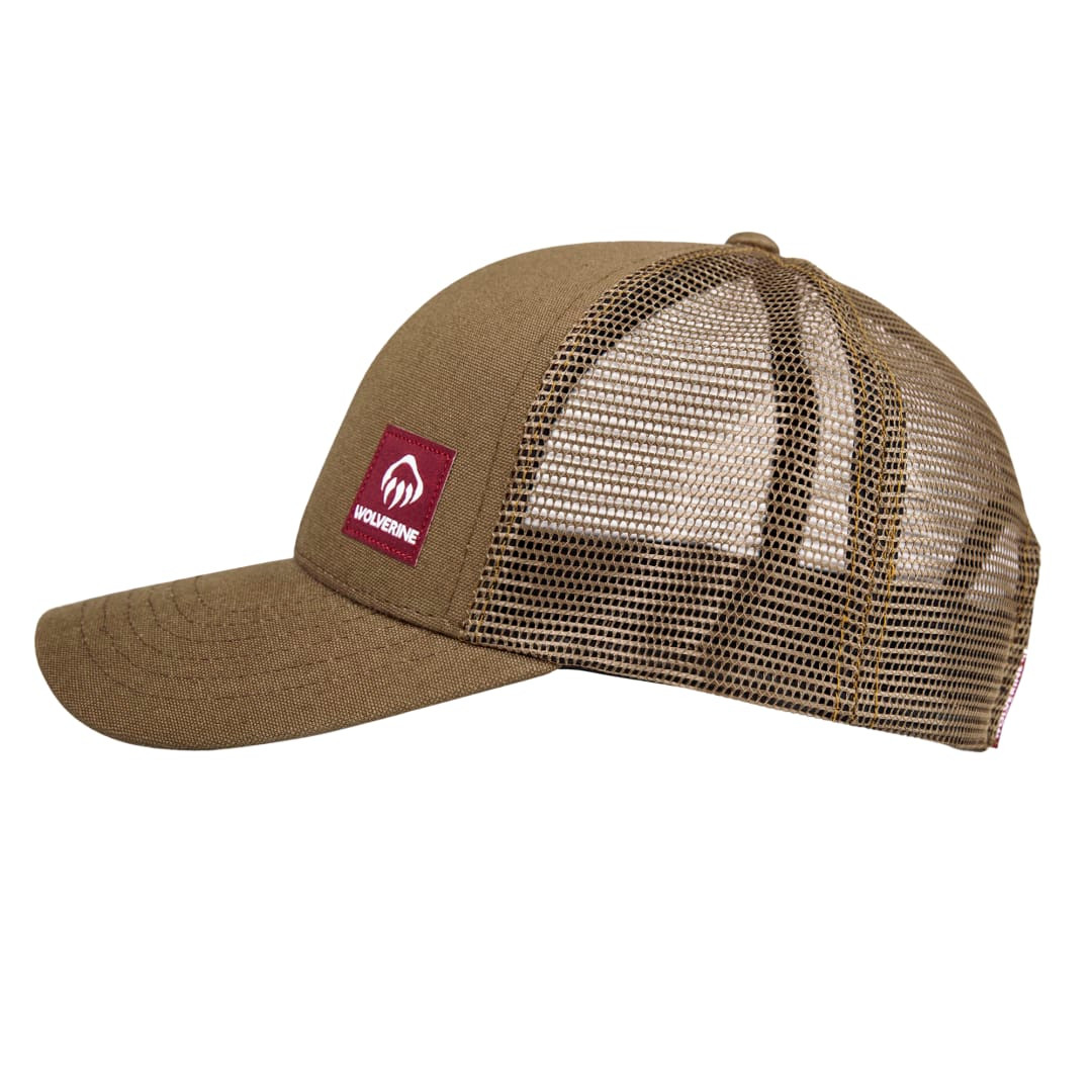 Chestnut (223)