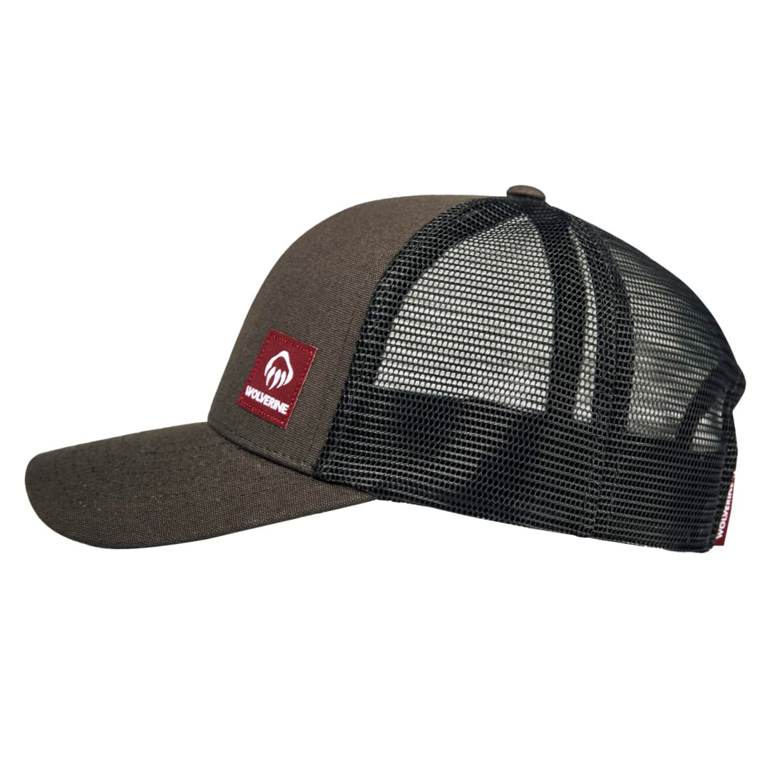 Black Olive (084)