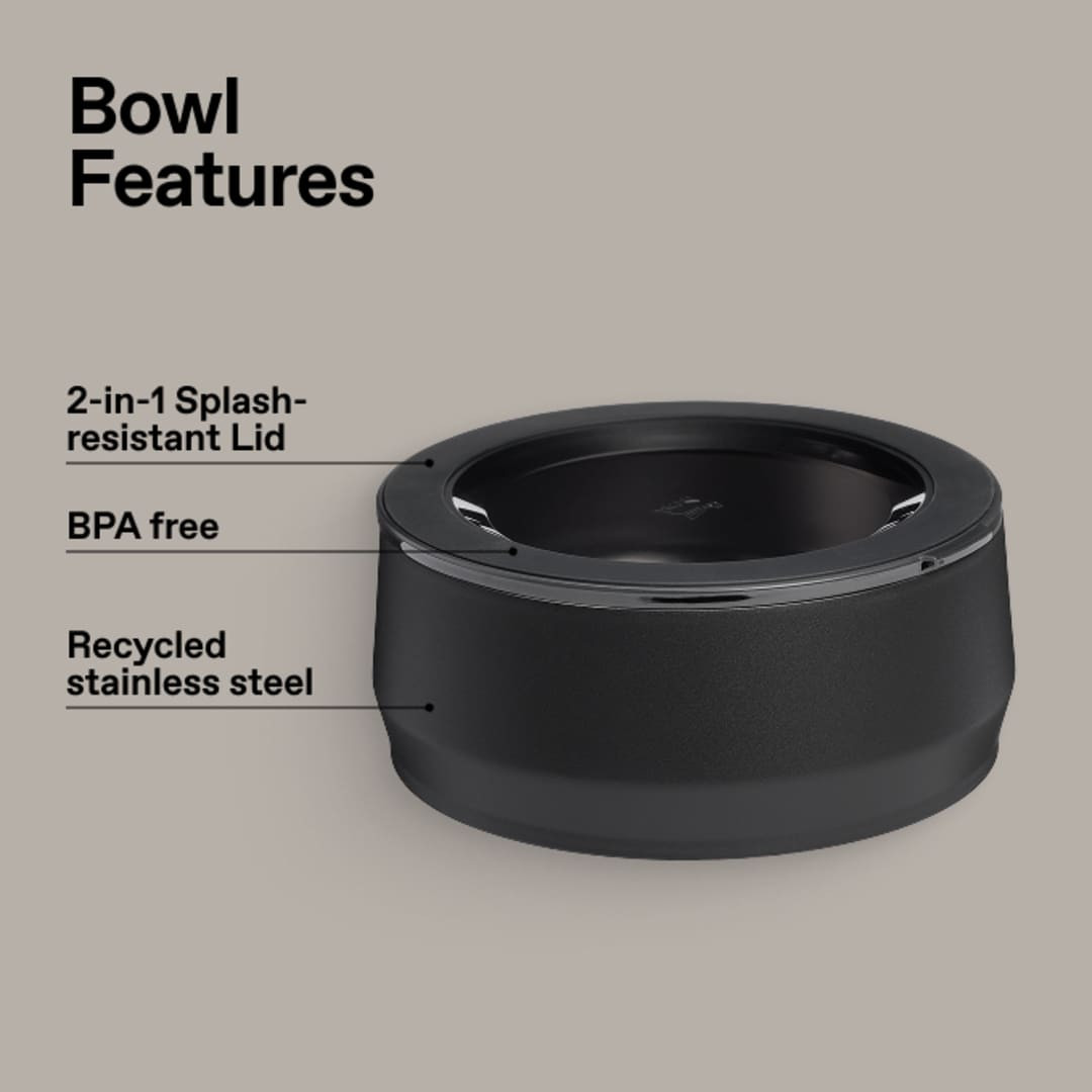 Black (BK)