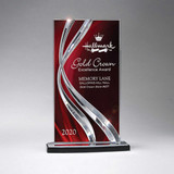 Custom Large Ribbon Award 10043