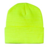 Saftey Yellow (737)