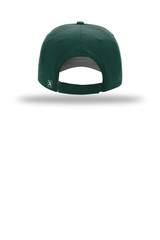 DarkGreen