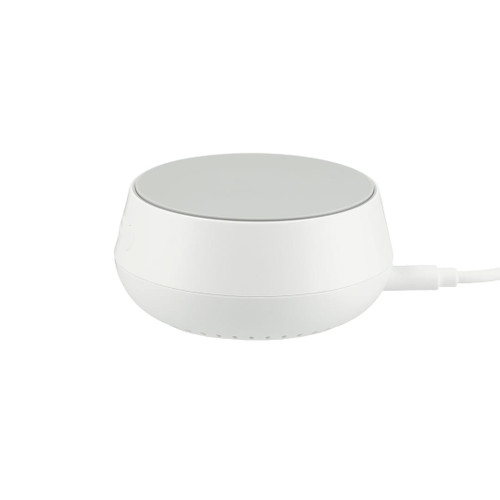 White (WH)