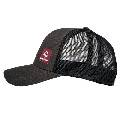 Onyx (001)