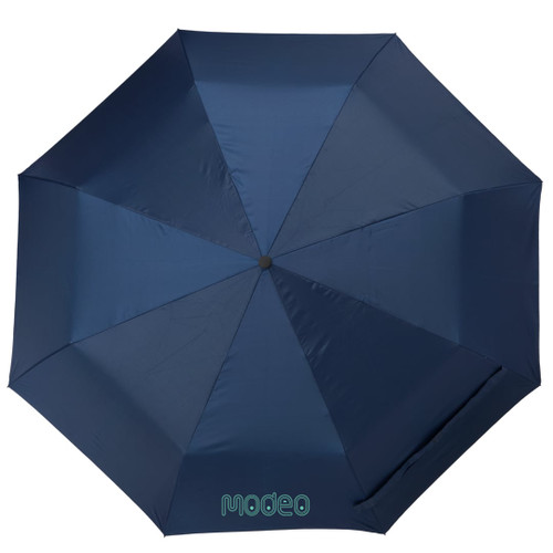 Silver/Navy