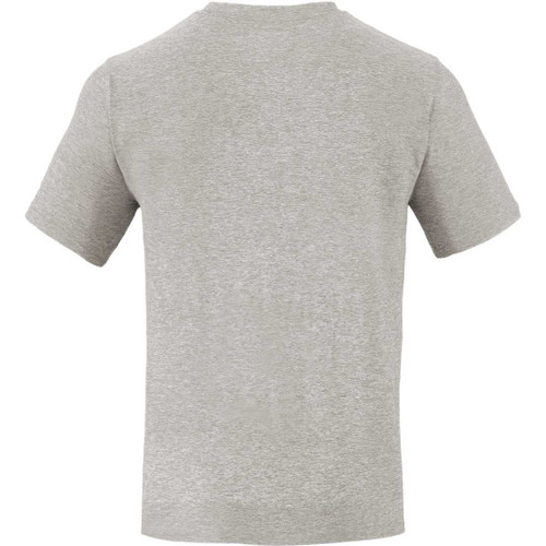 Fossil Heather (138)