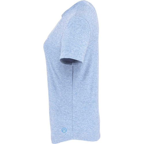 Moonlight Blue Heather (511)