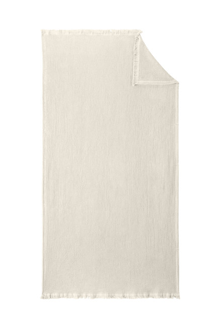 Parchment