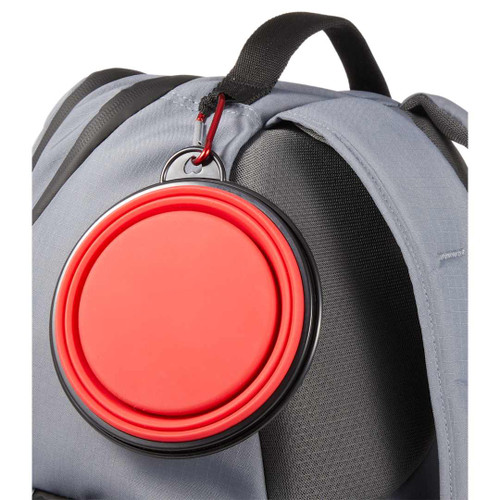 Red (RD)