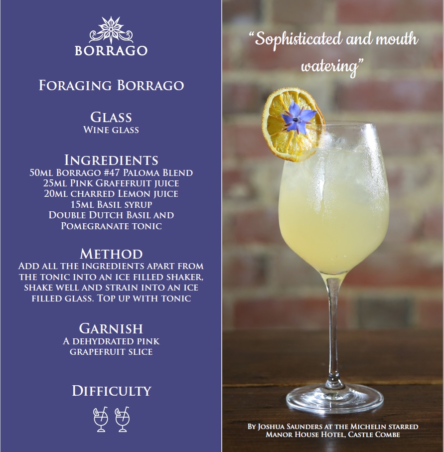 borrago-foraging-borago-pink-grapefruit-and-double-dutch-non-alcoholic-cocktail-spirit-mocktail.jpg