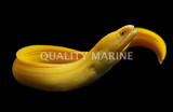 Eels