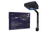 Lighting Fixtures and Accessories