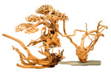 Wood Series