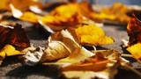 Test Post 4
