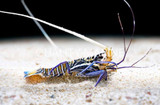 Test Post 3