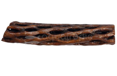 Cholla Wood :: 10568
