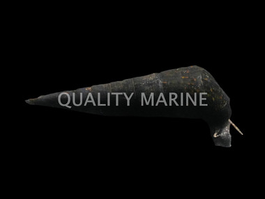 Black Cone Cerith Snail :: 57048