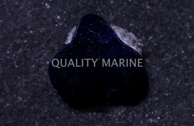 Black Mini Sponge :: 13334