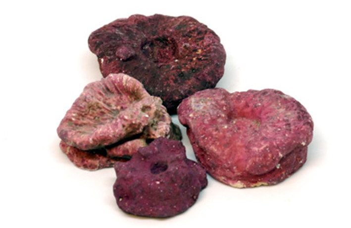 RR Frag Rock Bucket (approx. 5 lb bucket) :: 56010