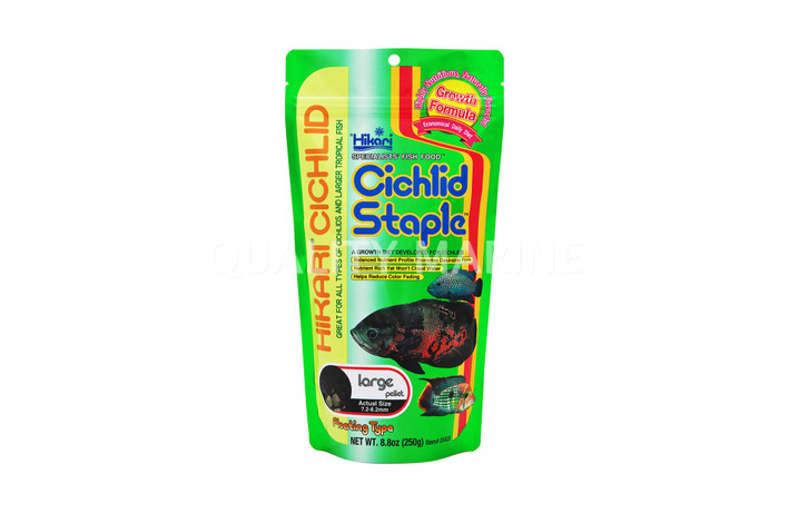 Hikari Cichlid Staple Medium Floating Pellets 8.8oz :: 0758220