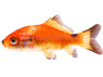Comet Feeder, Medium :: 31200