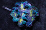 Metallic Green Paeonia Spiny Cup Coral :: 52296