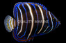 Chrysurus Angelfish, Juvenile