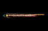Yellow Striped Clingfish