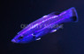 Four Line Wrasse :: 33521