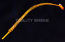 Yellow Multi Banded Pipefish :: 25007