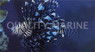 Mombasae Lionfish :: 22509